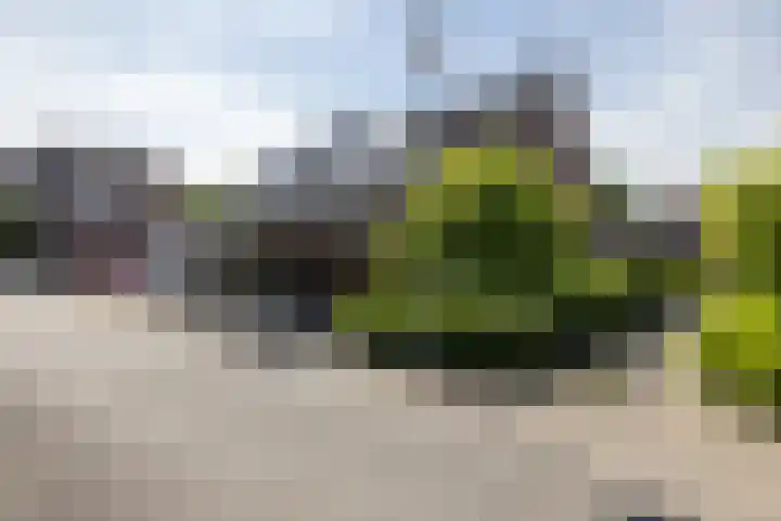 Beijlkensweg 56 Oirsbeek thumbnail 27