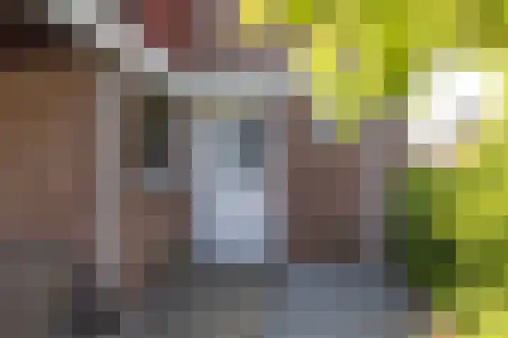 Beijlkensweg 56 Oirsbeek thumbnail 29