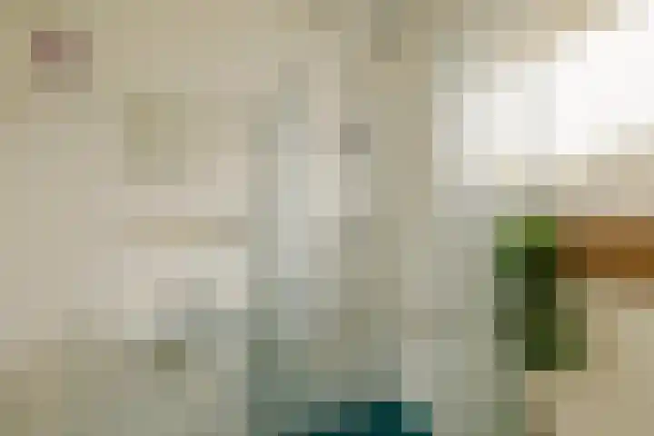Beijneslaan 42 Beverwijk thumbnail 18