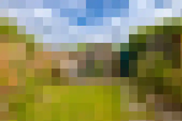 Beijneslaan 42 Beverwijk thumbnail 28
