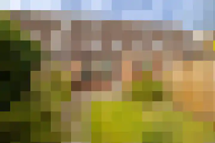 Beijneslaan 42 Beverwijk thumbnail 29