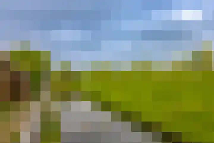 Beijneslaan 42 Beverwijk thumbnail 36