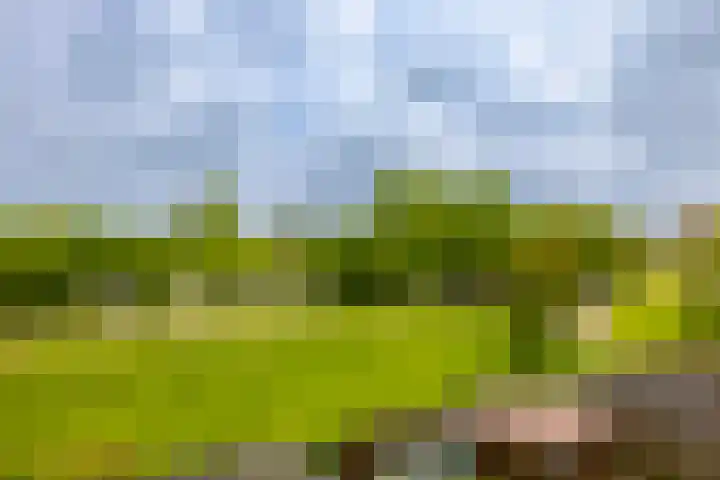 Beijneslaan 42 Beverwijk thumbnail 37