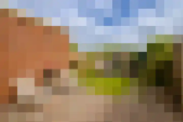 Beijneslaan 42 Beverwijk thumbnail 4