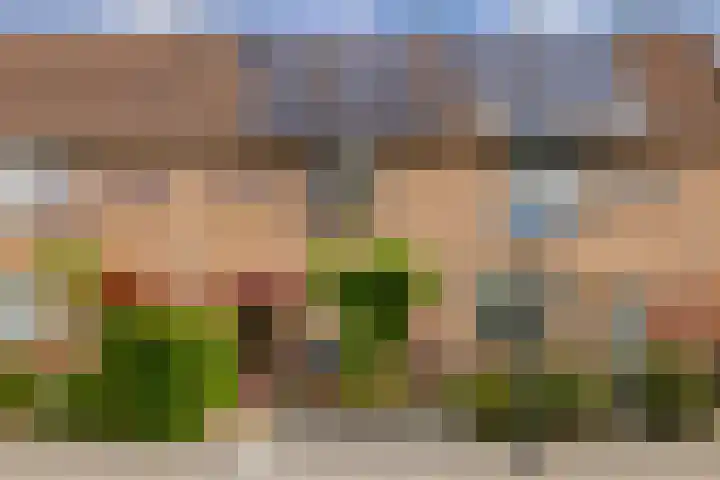 Beijneslaan 42 Beverwijk thumbnail 43