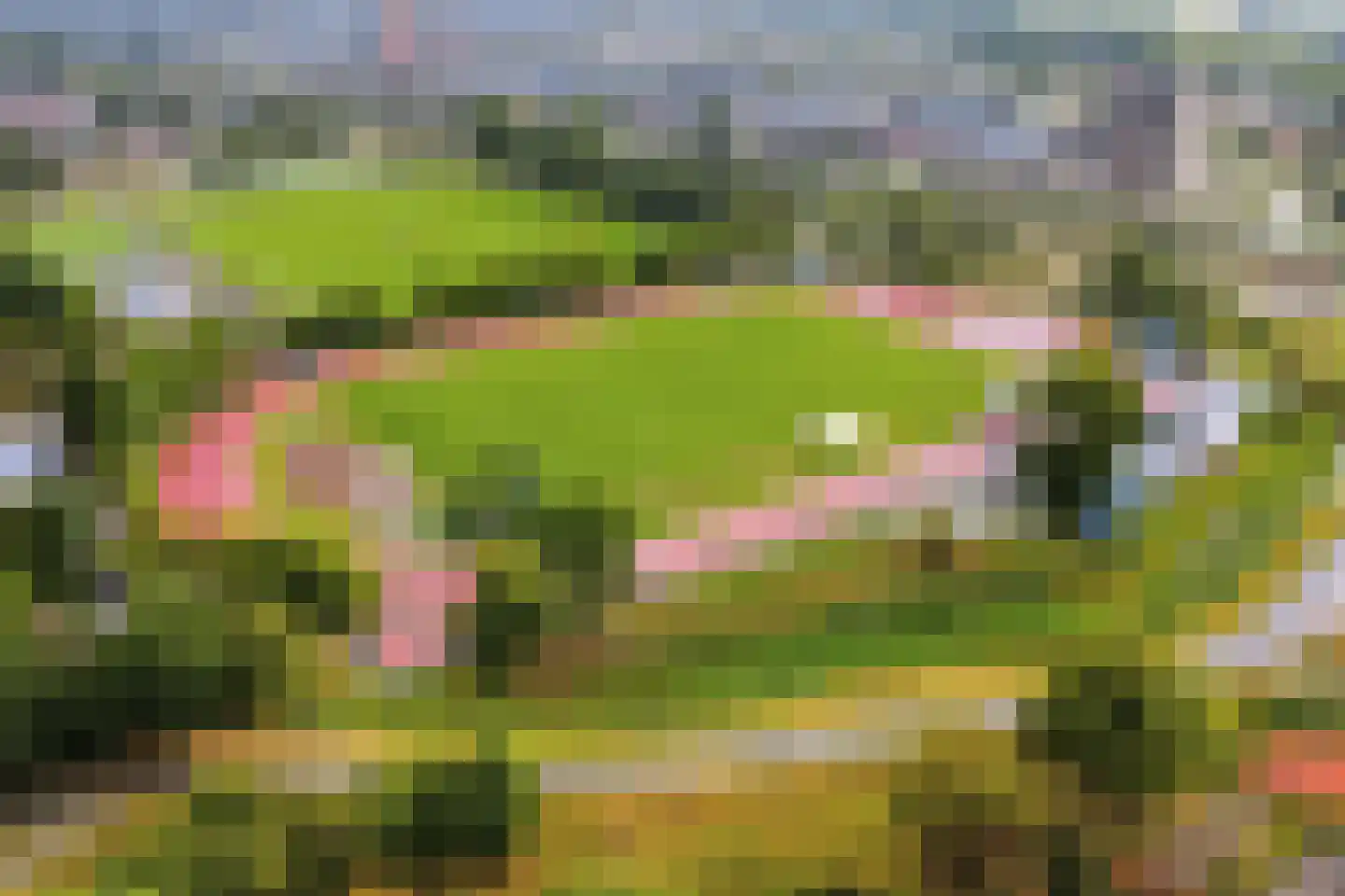 Beijneslaan 96 Beverwijk thumbnail 33