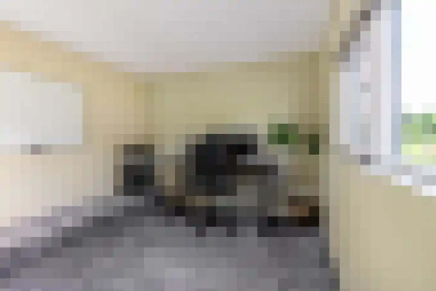 Beijumerweg 1052 Groningen thumbnail 27