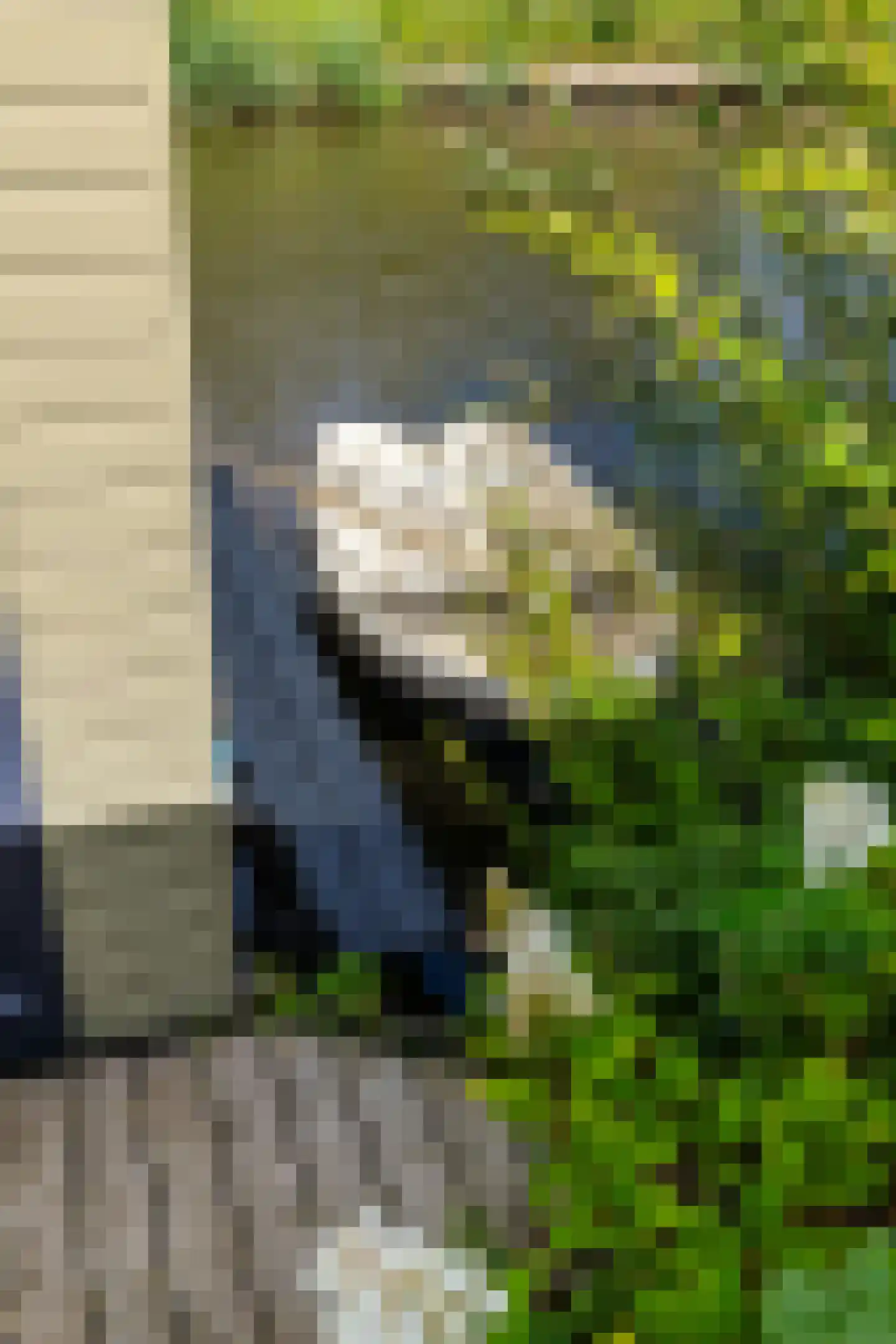 Beijumerweg 1052 Groningen thumbnail 34