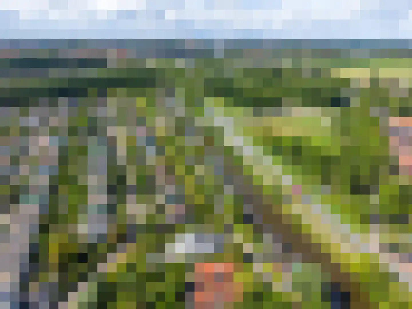 Beijumerweg 1052 Groningen thumbnail 38