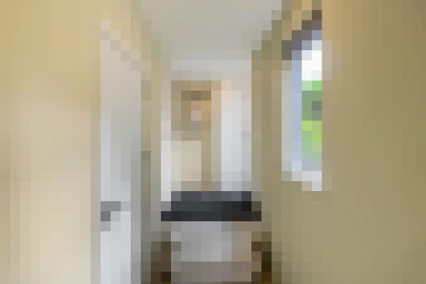 Beijumerweg 1052 Groningen thumbnail 5