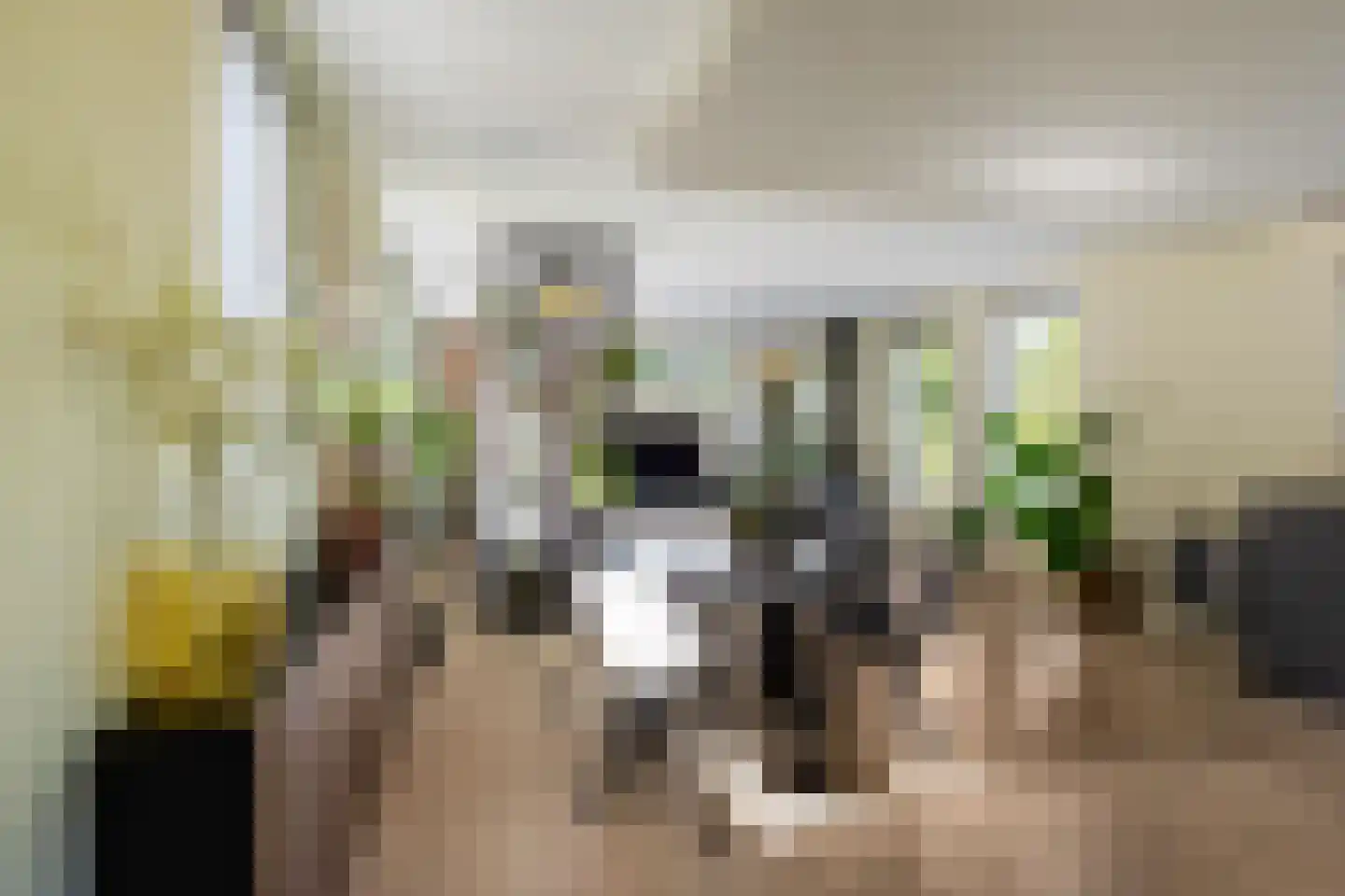 Beijumerweg 1052 Groningen thumbnail 8