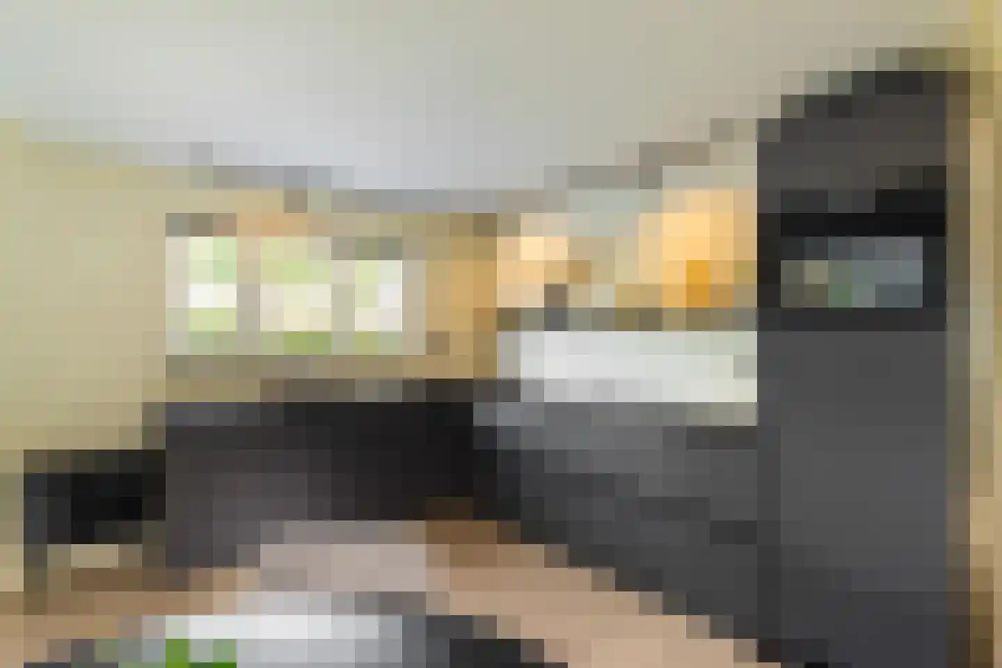 Beijumerweg 1052 Groningen thumbnail 9