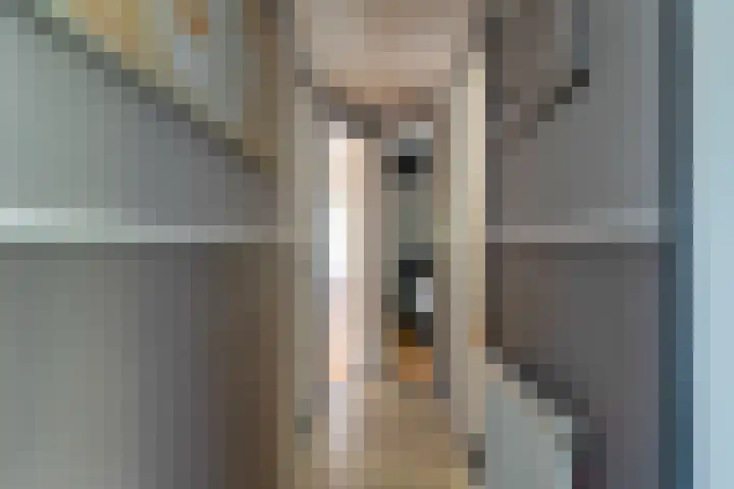Beijumerweg 1060 Groningen thumbnail 14