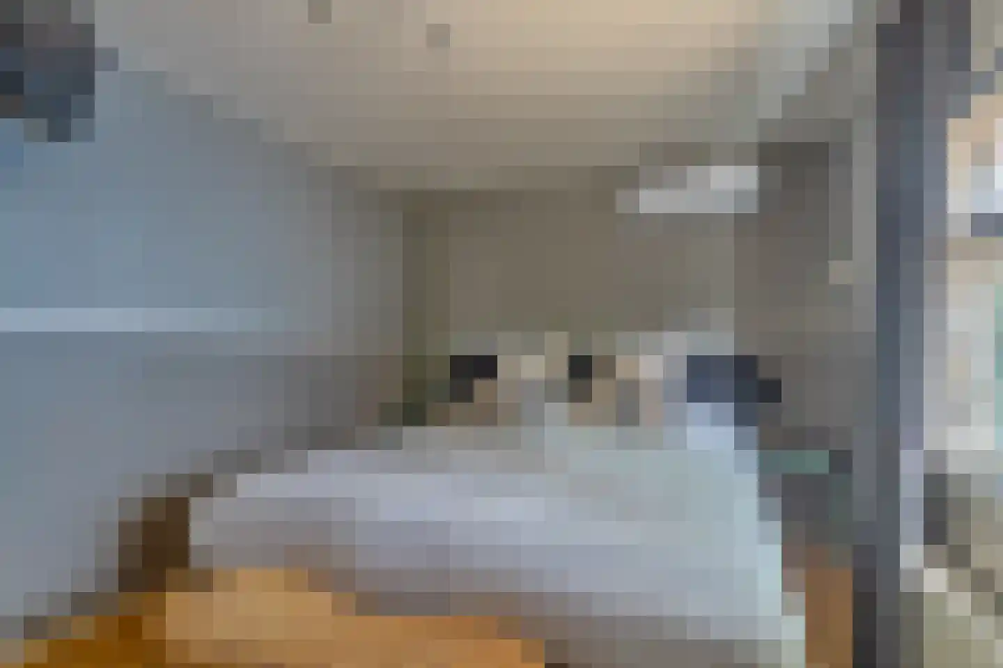 Beijumerweg 1060 Groningen thumbnail 16