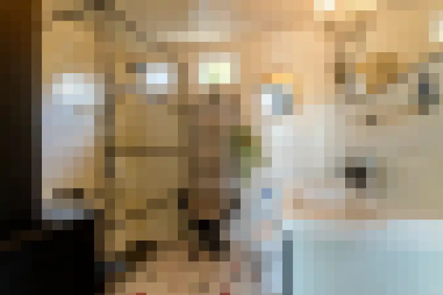 Beijumerweg 1060 Groningen thumbnail 20