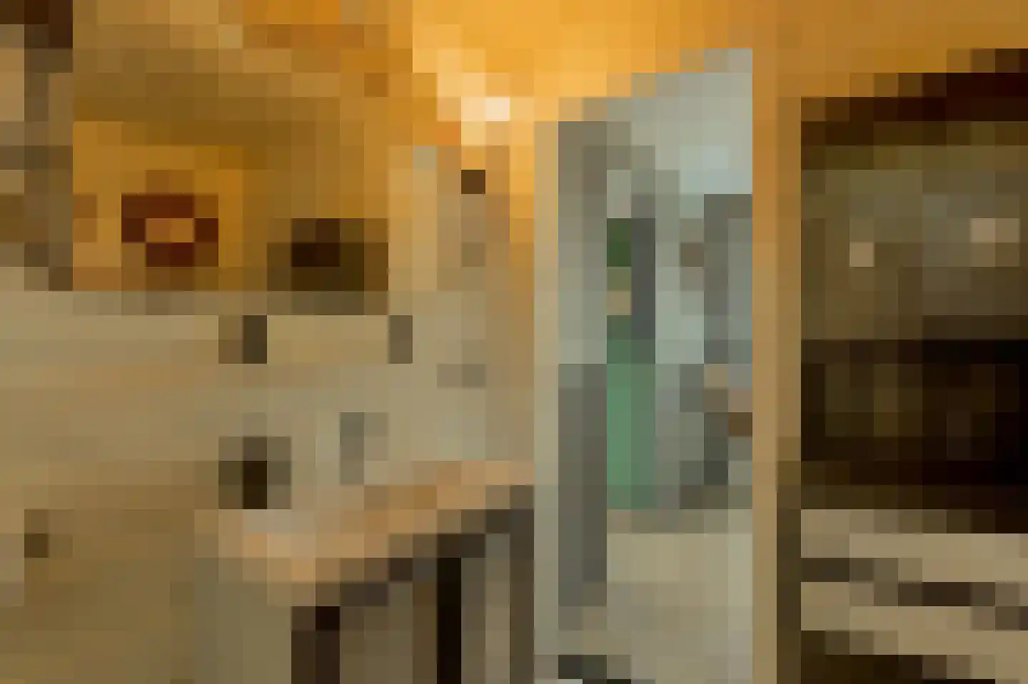 Beijumerweg 1060 Groningen thumbnail 22