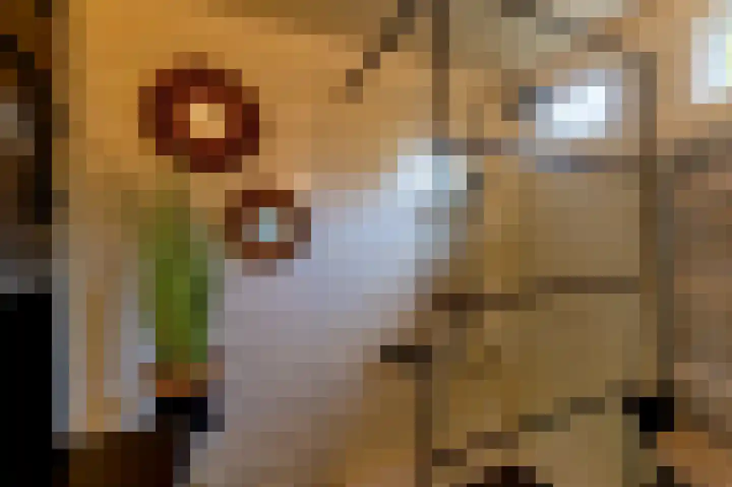 Beijumerweg 1060 Groningen thumbnail 23
