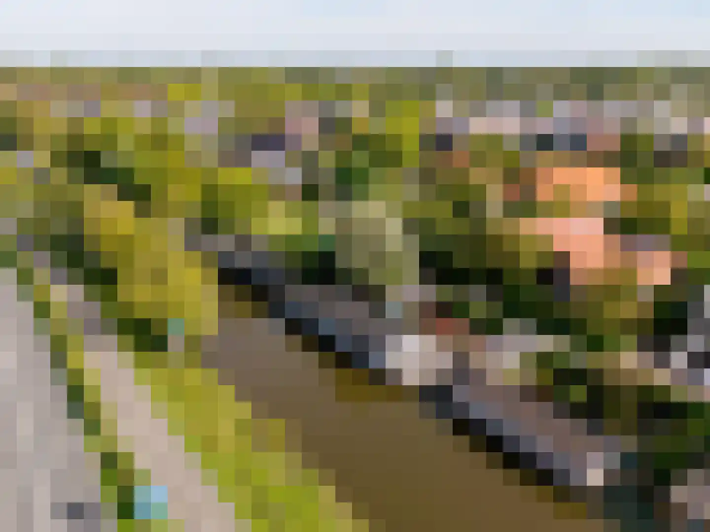 Beijumerweg 1060 Groningen thumbnail 27