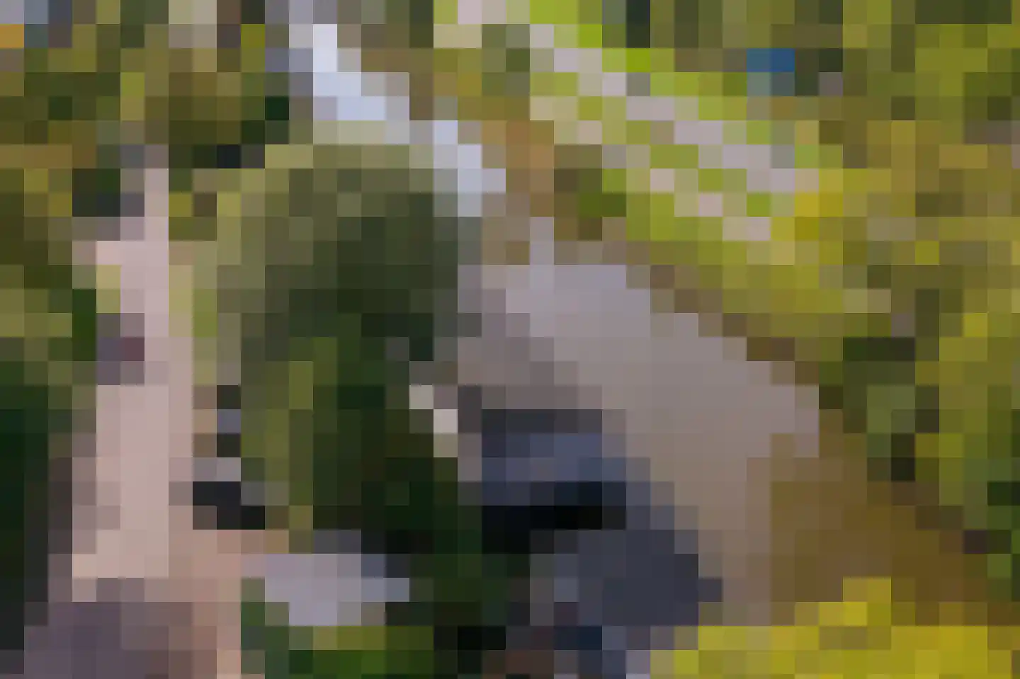 Beijumerweg 1060 Groningen thumbnail 28