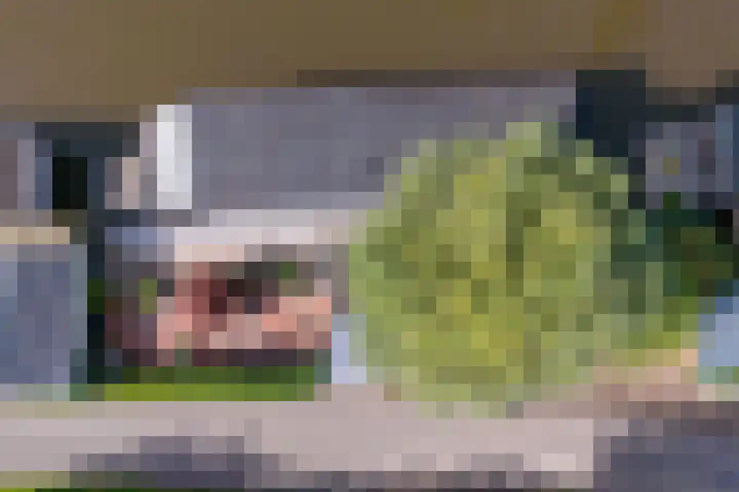 Beijumerweg 1060 Groningen thumbnail 29