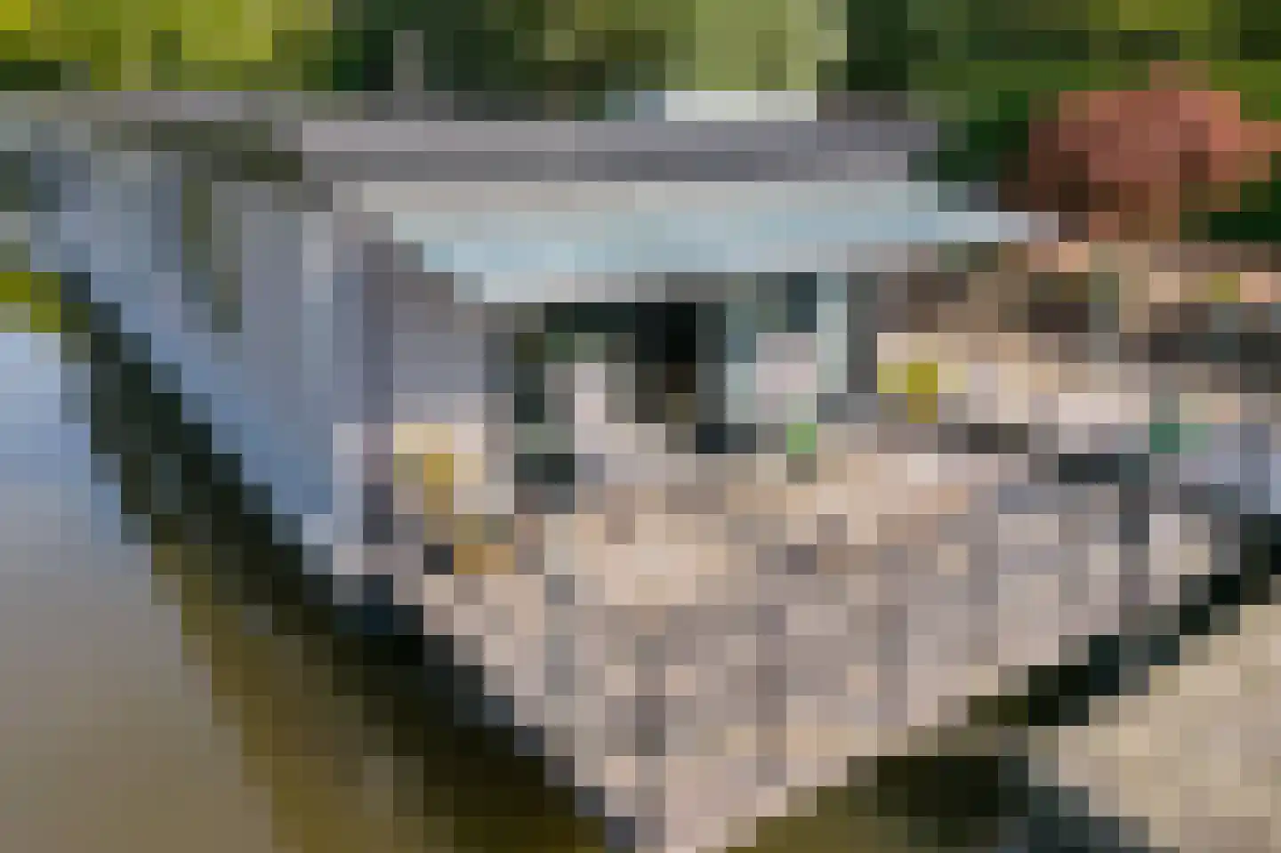 Beijumerweg 1060 Groningen thumbnail 30