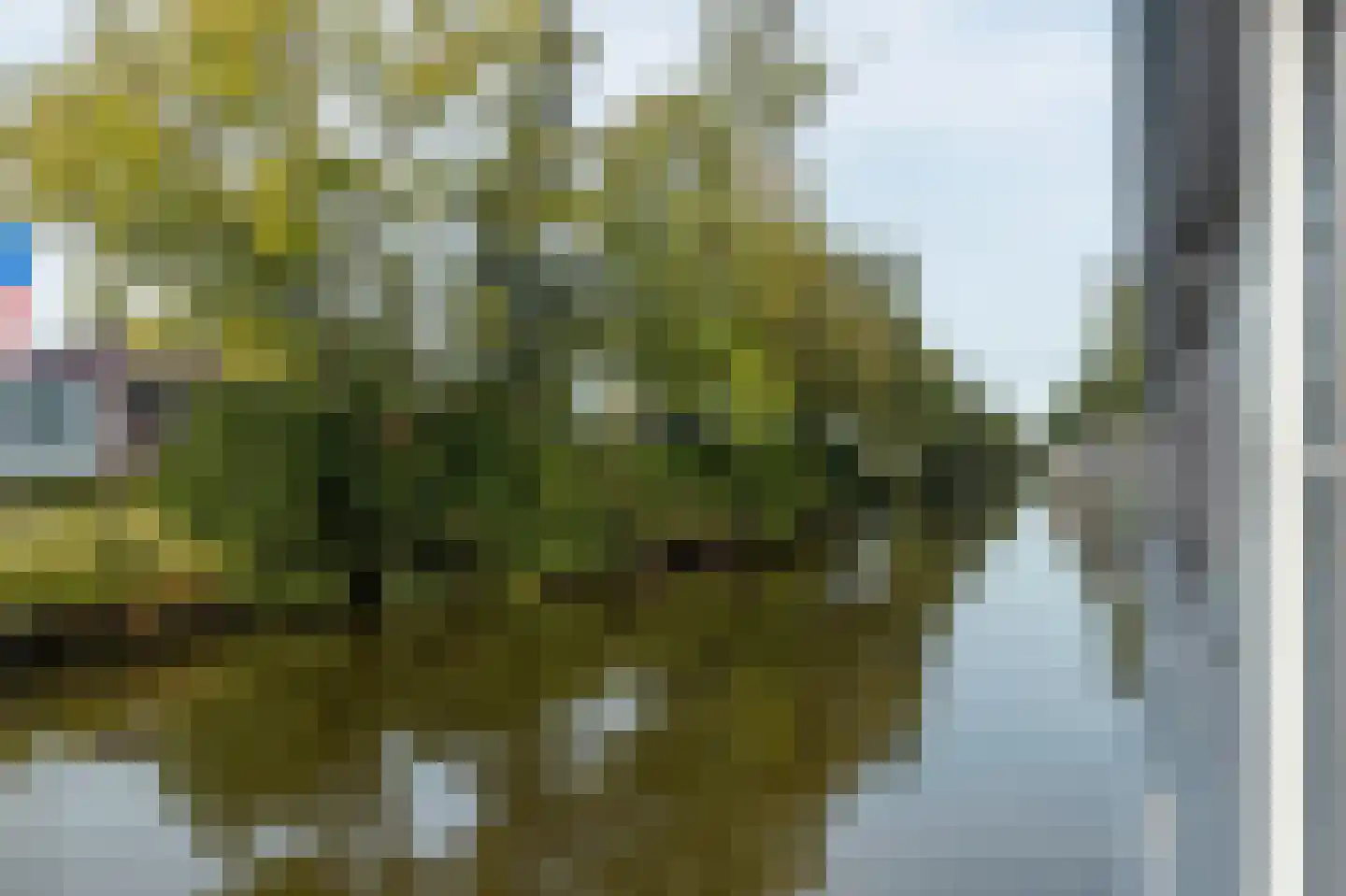Beijumerweg 1060 Groningen thumbnail 34