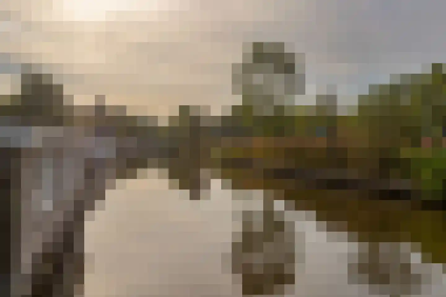 Beijumerweg 1060 Groningen thumbnail 35