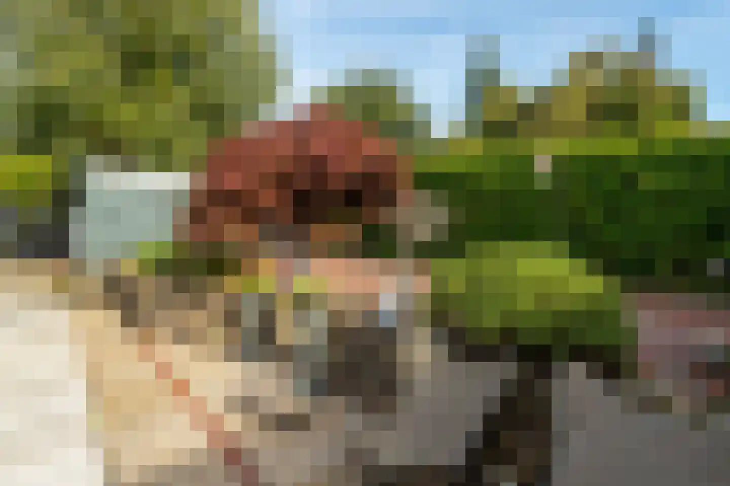 Beijumerweg 1060 Groningen thumbnail 37