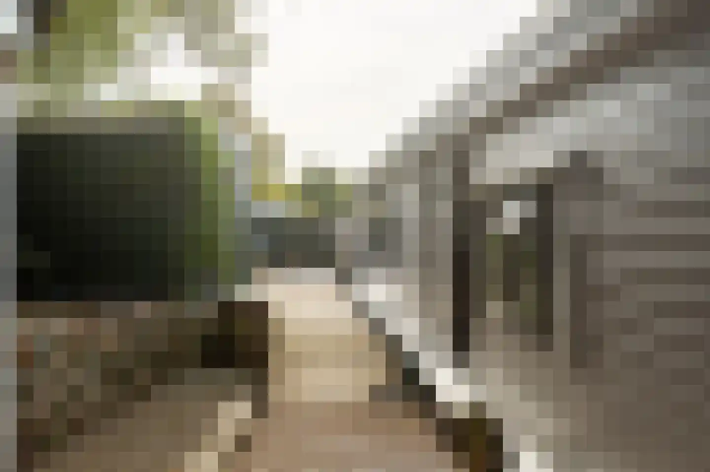 Beijumerweg 1060 Groningen thumbnail 40