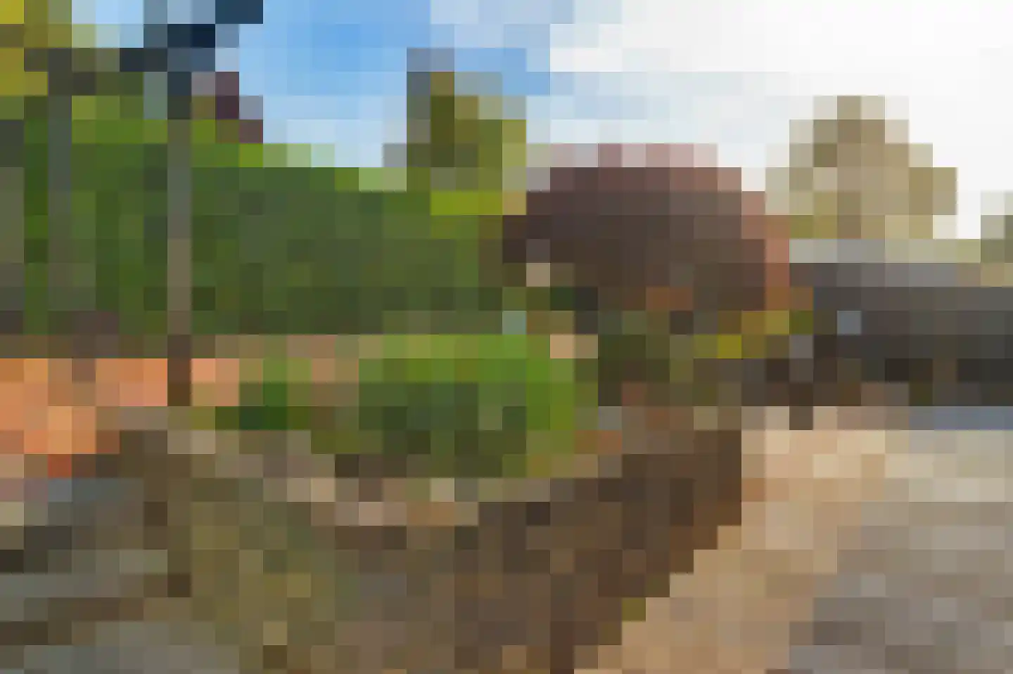 Beijumerweg 1060 Groningen thumbnail 41