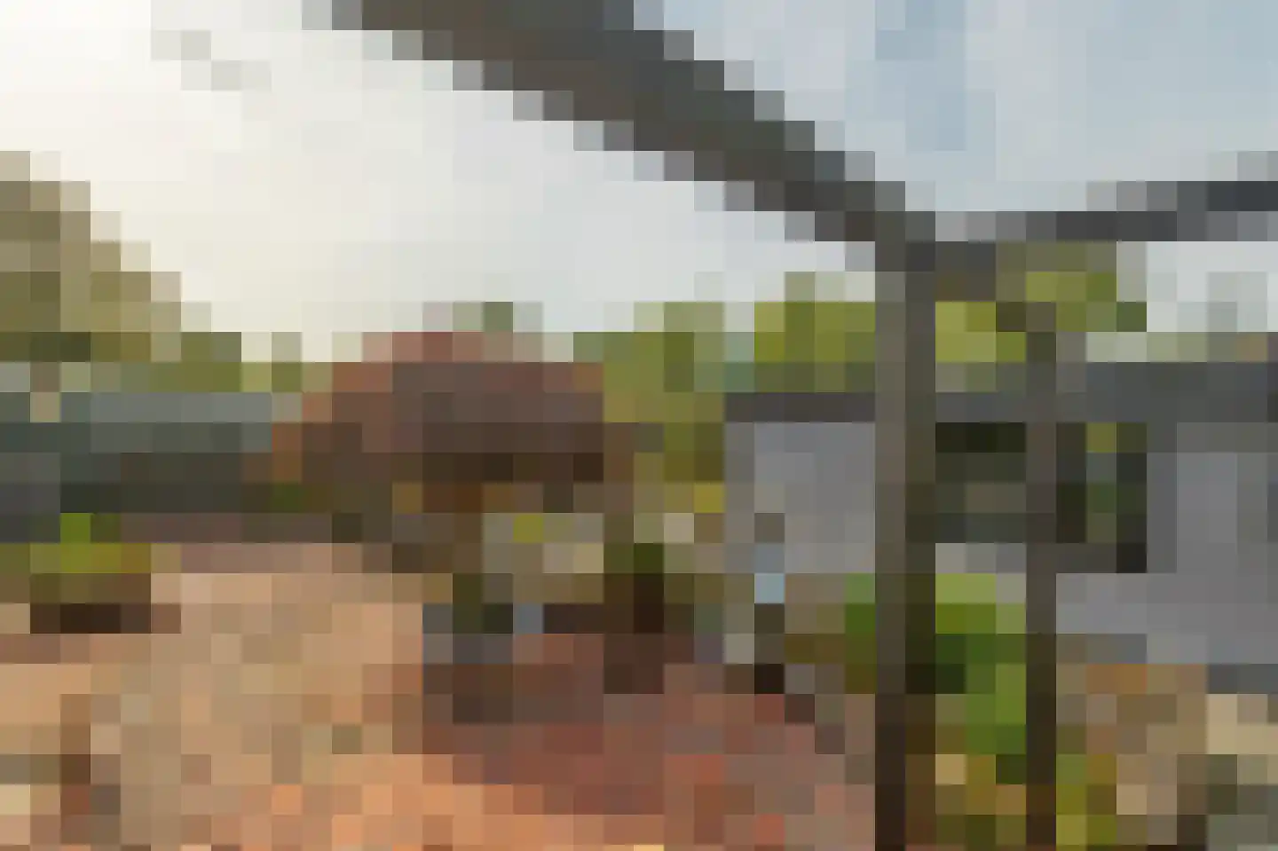 Beijumerweg 1060 Groningen thumbnail 42