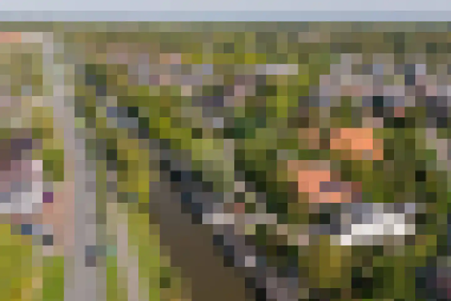 Beijumerweg 1060 Groningen thumbnail 48