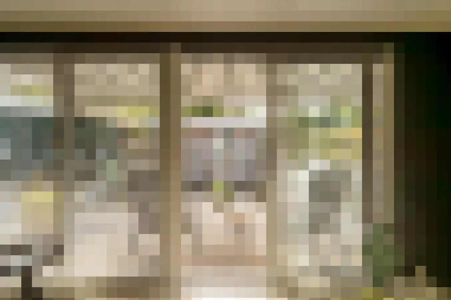 Beijumerweg 1060 Groningen thumbnail 7