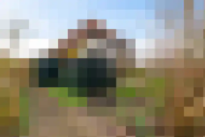 Beijumerweg 20 a Groningen foto 2