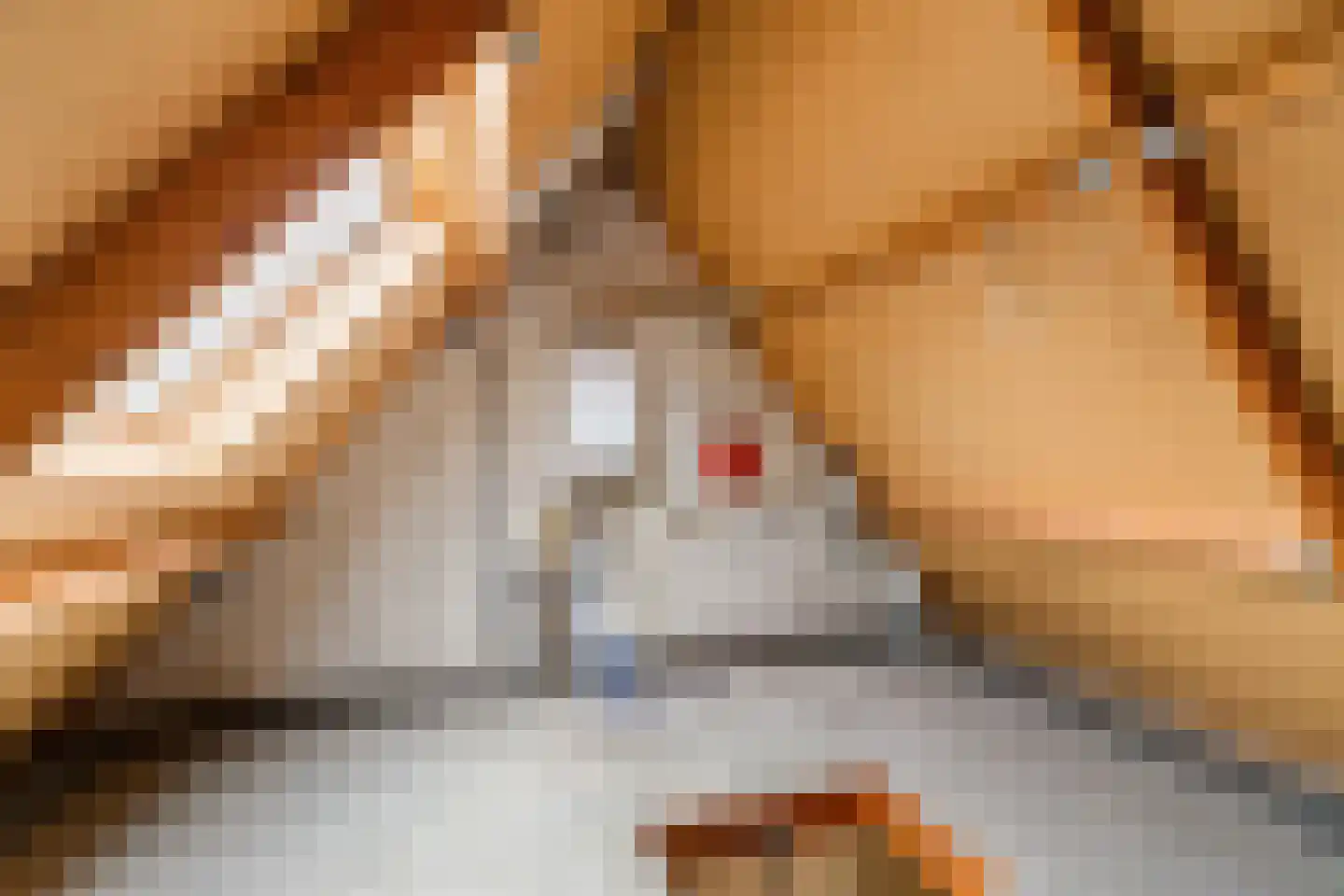 Beijumerweg 20 a Groningen thumbnail 24