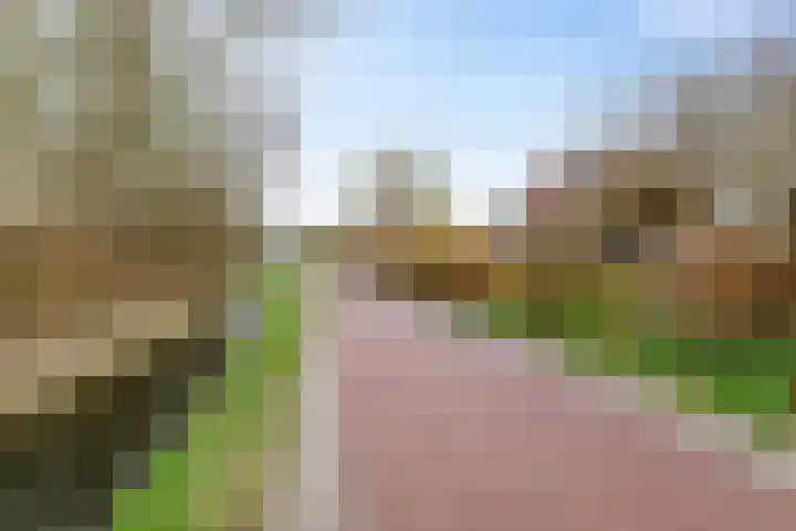 Beijumerweg 20 a Groningen thumbnail 6