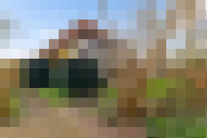 Beijumerweg 20 a Groningen thumbnail 7