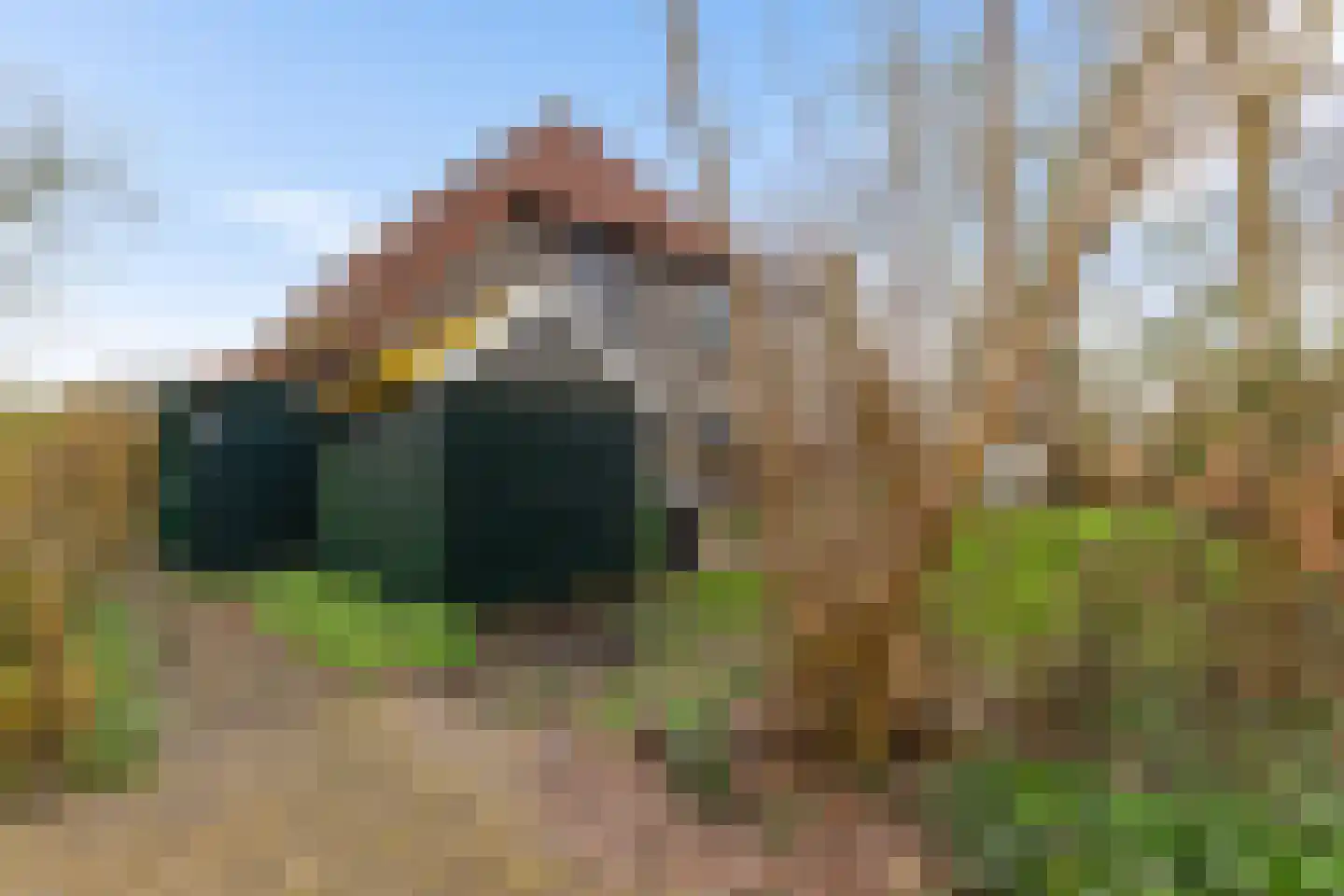 Beijumerweg 20 a Groningen thumbnail 7