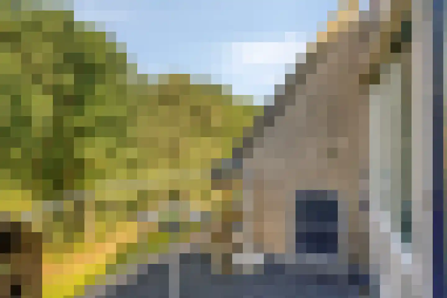 Beilerstraat 119 Assen thumbnail 32