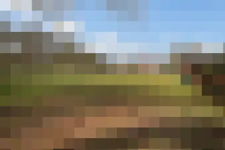 Beilerstraat 27 Westerbork thumbnail 45