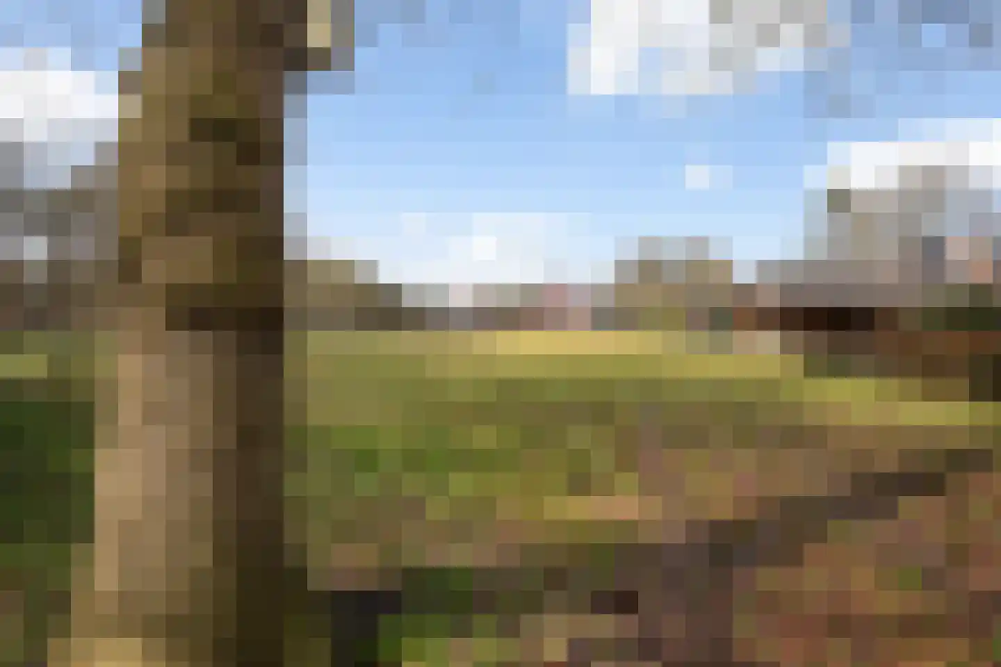 Beilerstraat 27 Westerbork thumbnail 46