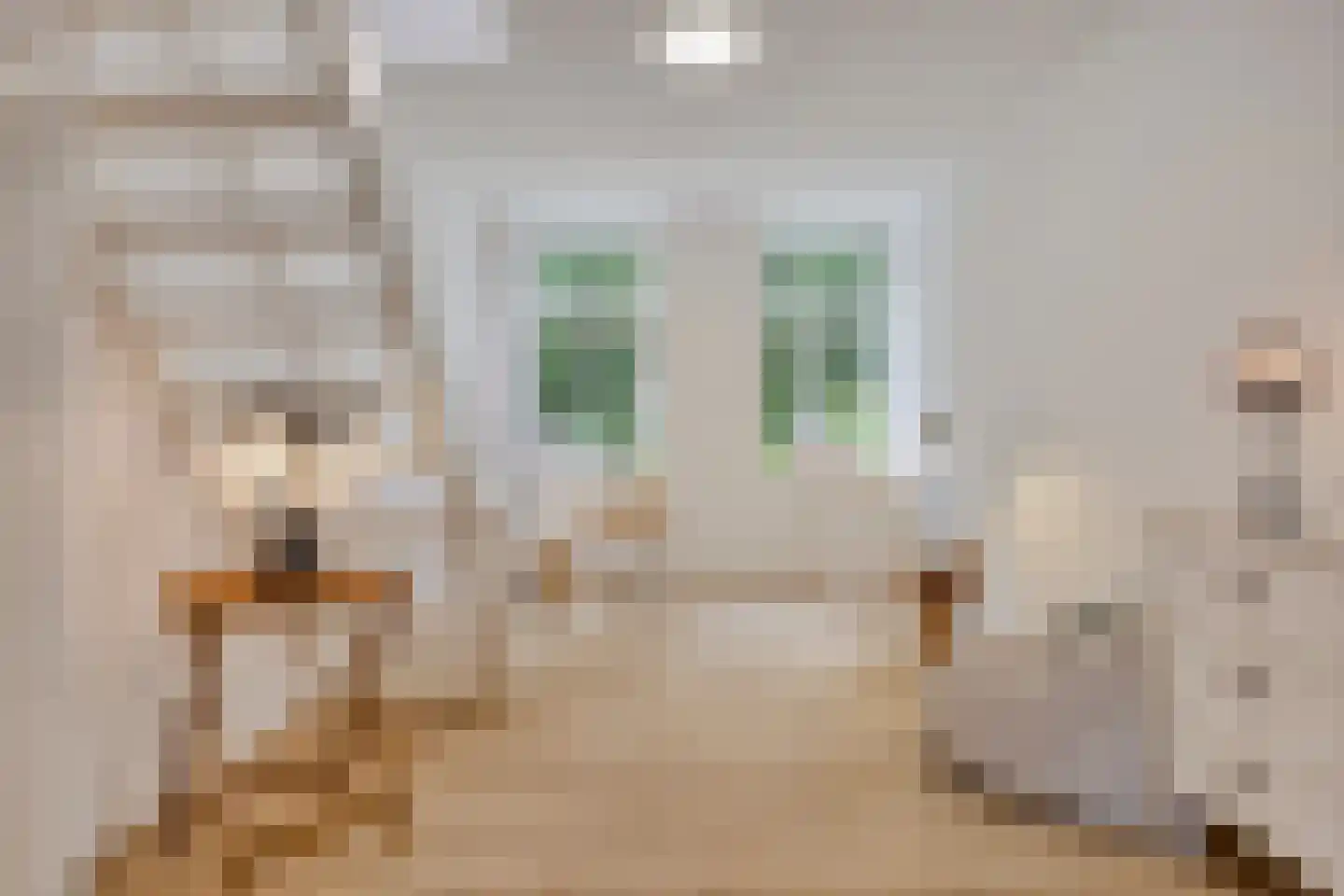 Beilerstraat 53 Assen thumbnail 19