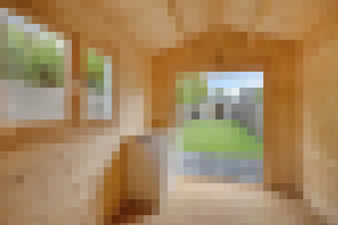 Beilerstraat 53 Assen thumbnail 31