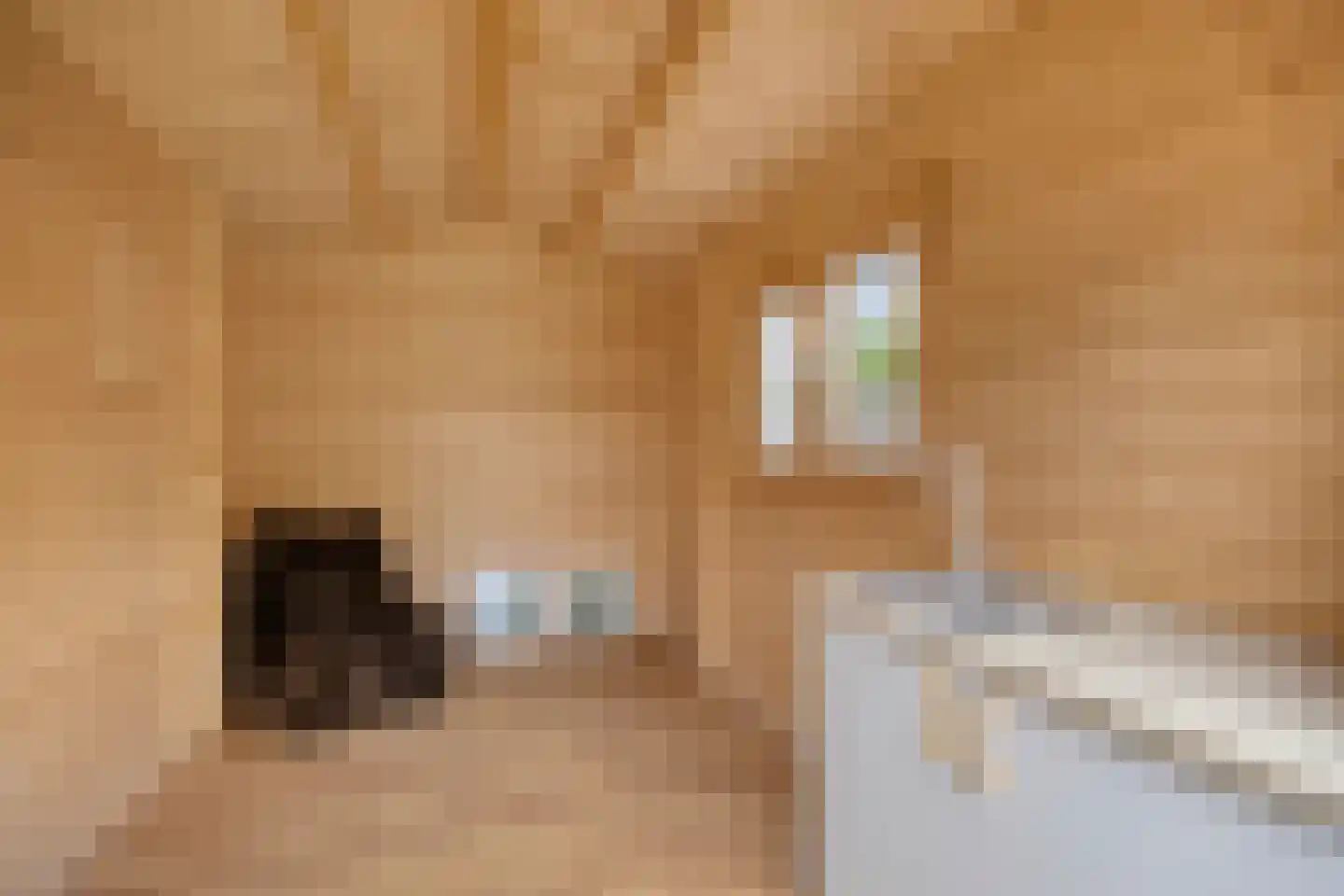 Beilerstraat 53 Assen thumbnail 32