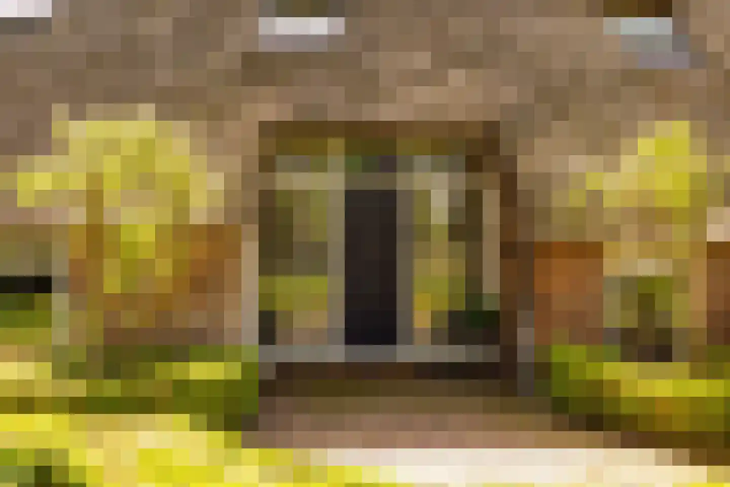 Beilerstraat 6 a Pesse thumbnail 10