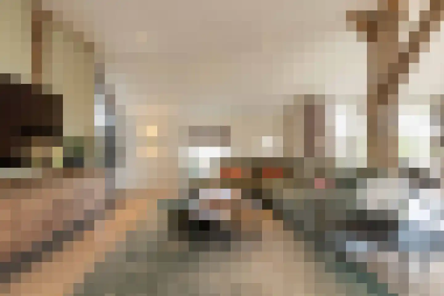 Beilerstraat 6 a Pesse thumbnail 13