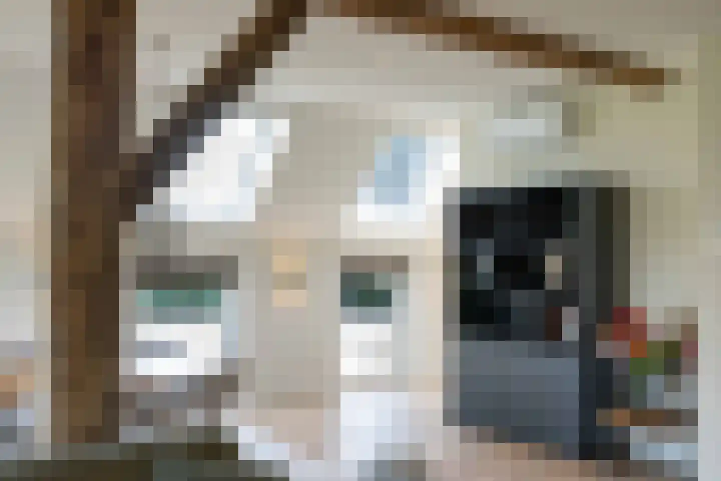 Beilerstraat 6 a Pesse thumbnail 15