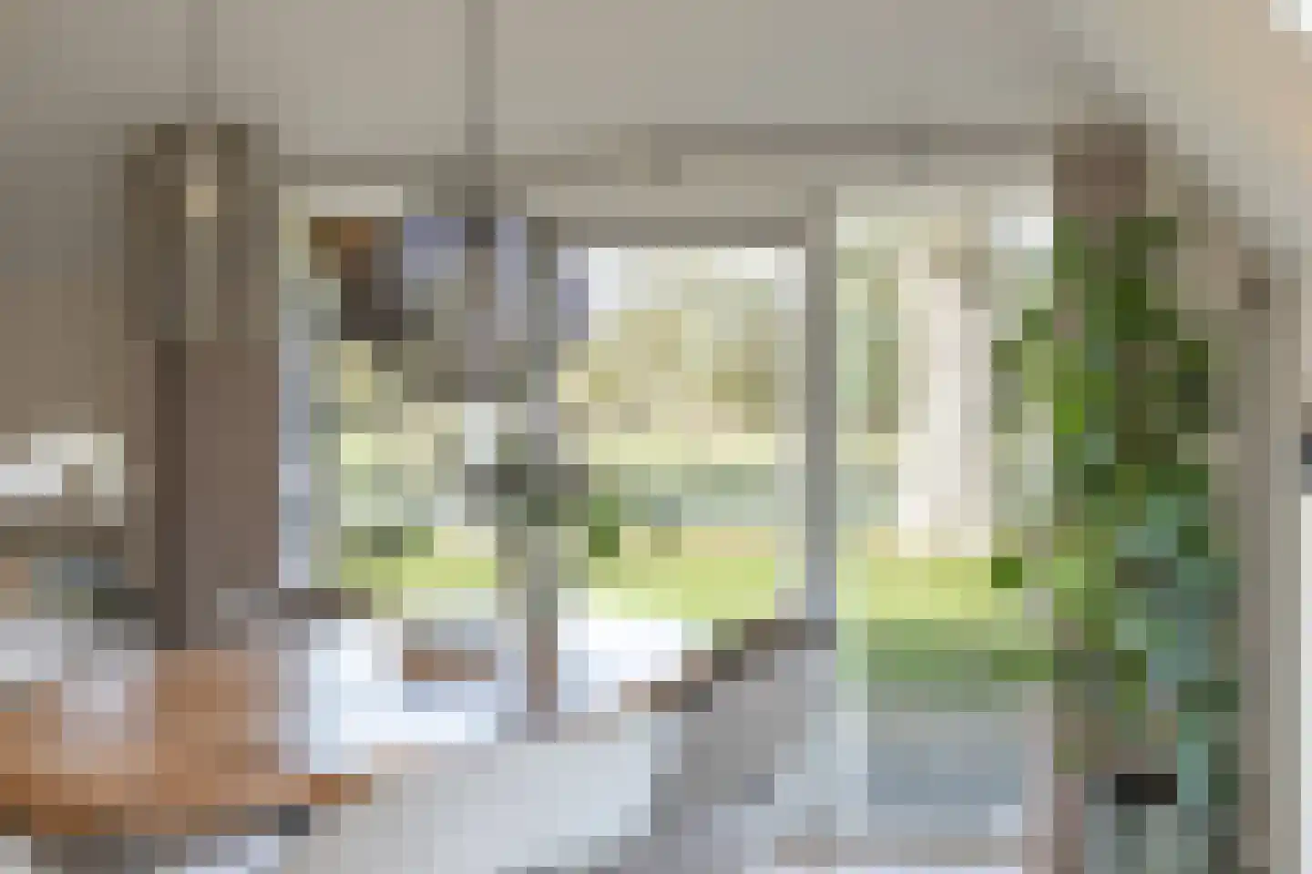 Beilerstraat 6 a Pesse thumbnail 18