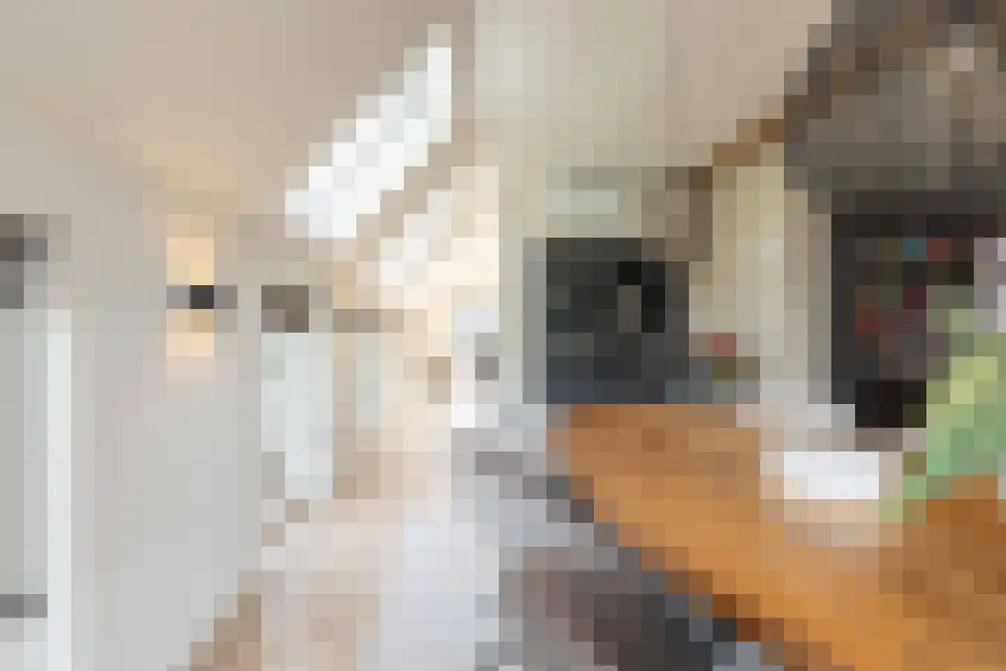 Beilerstraat 6 a Pesse thumbnail 18