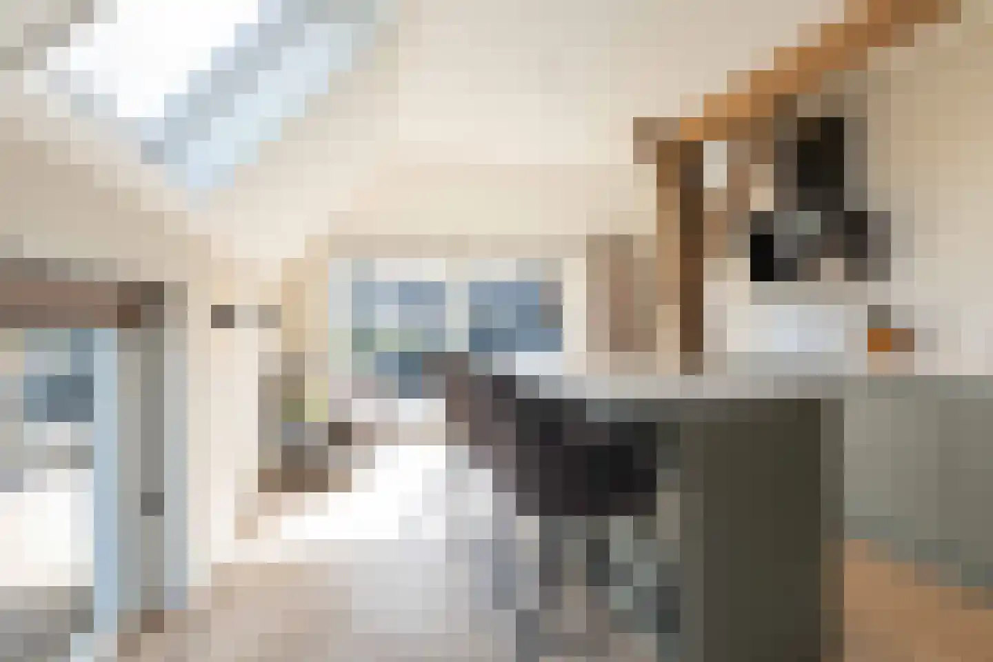 Beilerstraat 6 a Pesse thumbnail 20